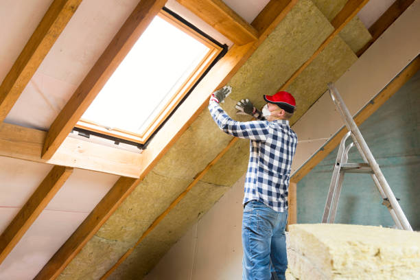 Best Insulation for Existing Homes  in USA